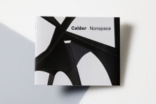 Alternative view 2 of Calder: Nonspace