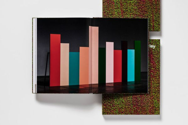 Mike Kelley: Timeless Painting