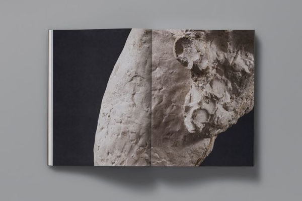 To Exalt the Ephemeral: Alina Szapocznikow, 1962-1972