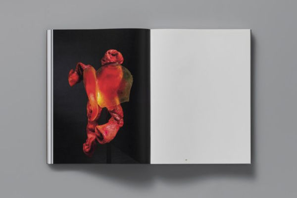 To Exalt the Ephemeral: Alina Szapocznikow, 1962-1972