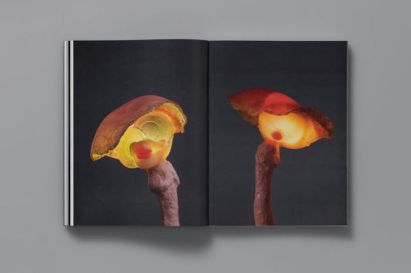 To Exalt the Ephemeral: Alina Szapocznikow, 1962-1972