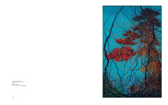 Alternative view 8 of Zeng Fanzhi
