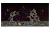 Alternative view 4 of Anj Smith: Drifting Habitations