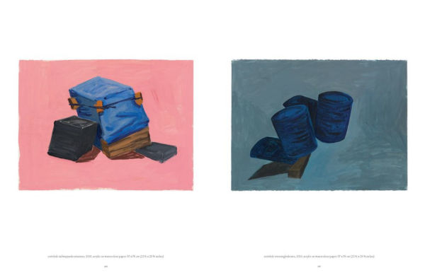 Phyllida Barlow: Fifty Years of Drawing
