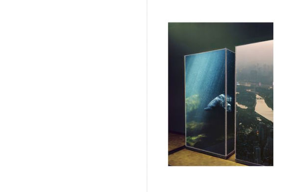 Taiyo Onorato & Nico Krebs: Future Memories