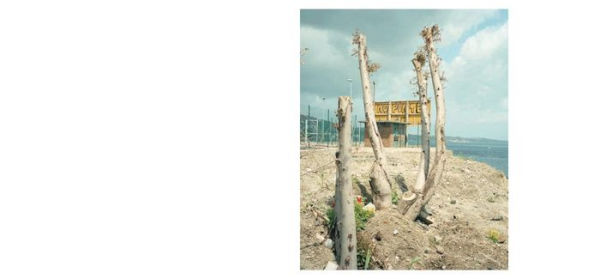 Giuseppe Micciché: No Ponte