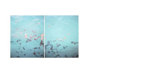 Giuseppe Micciché: No Ponte