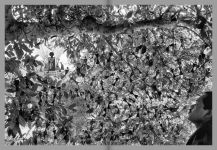 Alternative view 4 of Gauri Gill & Rajesh Chaitya Vangad: Fields of Sight