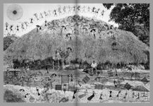 Alternative view 5 of Gauri Gill & Rajesh Chaitya Vangad: Fields of Sight