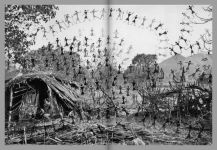 Alternative view 7 of Gauri Gill & Rajesh Chaitya Vangad: Fields of Sight