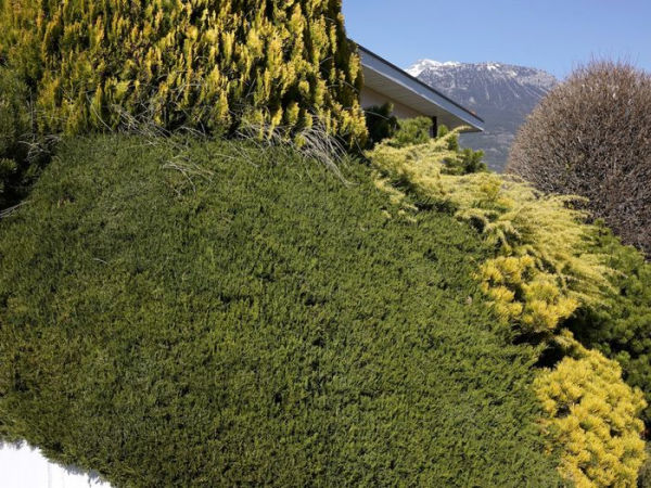 Nicolas Faure: The Order of Things