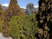 Alternative view 3 of Nicolas Faure: The Order of Things