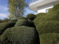 Alternative view 4 of Nicolas Faure: The Order of Things