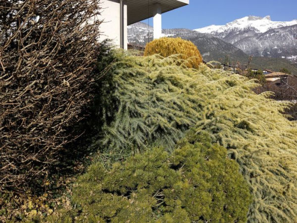 Nicolas Faure: The Order of Things