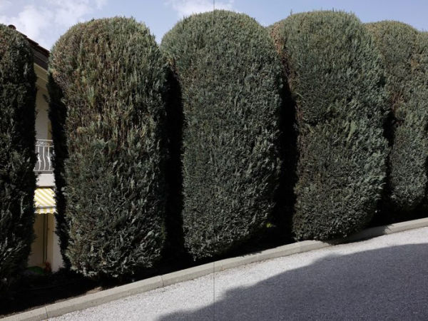 Nicolas Faure: The Order of Things