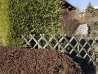 Alternative view 7 of Nicolas Faure: The Order of Things