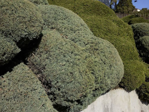 Nicolas Faure: The Order of Things