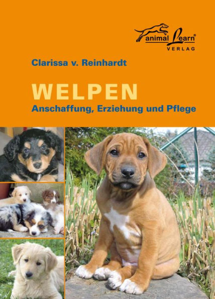 Welpen: Anschaffung, Erziehung und Pflege