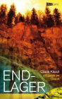 Endlager: Altlasten im Granit
