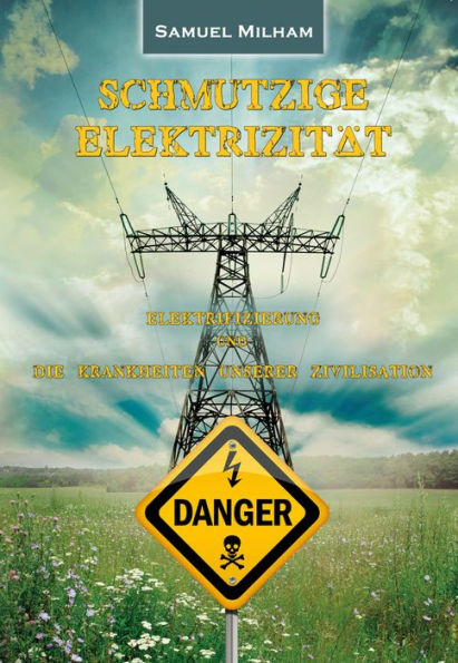 Schmutzige Elektrizität: Elektrifizierung und die Krankheiten unserer Zivilisation