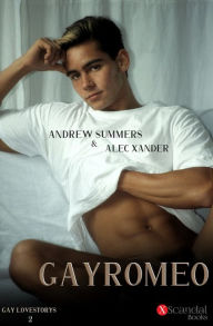 Title: Gay Romeo, Author: Andrew Summers