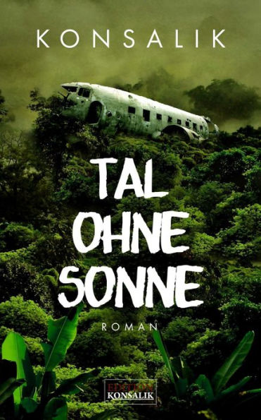 Tal ohne Sonne: Roman