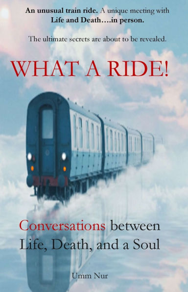 What a Ride!: Conversations between Life, Death, and Soul