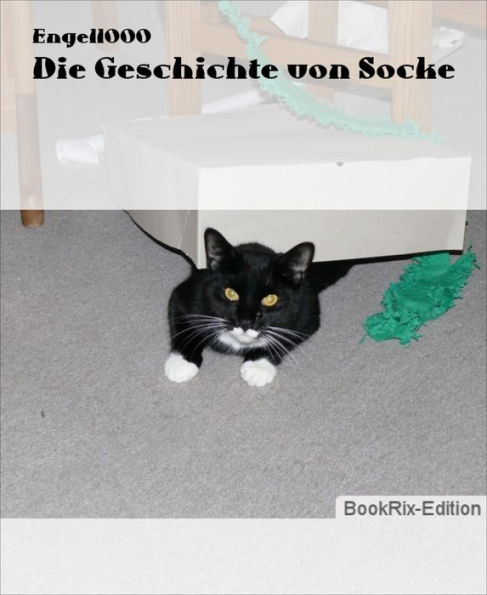 Die Geschichte von Socke