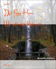 Title: Der feine Herr: Wie schön kann Rache sein!, Author: Kevan Sting