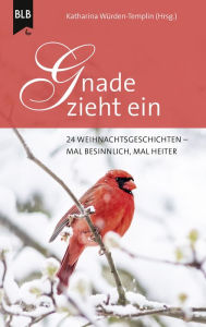 Title: Gnade zieht ein: 24 Weihnachtsgeschichten - mal besinnlich, mal heiter, Author: Katharina Würden-Templin