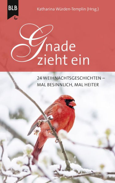 Gnade zieht ein: 24 Weihnachtsgeschichten - mal besinnlich, mal heiter