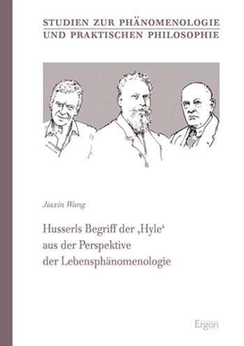 Husserls Begriff der 'Hyle' aus der Perspektive der Lebensphanomenologie