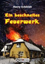 Title: Ein beschneites Feuerwerk: Sinnsuche und Liebesleben der Ulrike B. in zwei Systemen, Author: Harry Schmidtt
