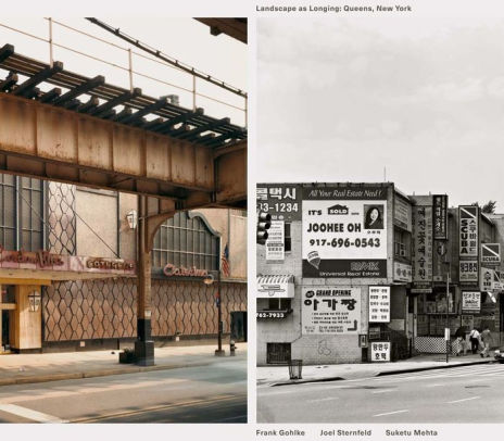 Frank Gohlke Joel Sternfeld Landscape As Longinghardcover - 