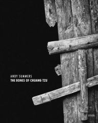 Andy Summers: The Bones of Chuang Tzu