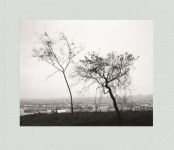 Alternative view 1 of Robert Adams: Los Angeles Spring