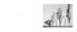 Alternative view 3 of Robert Adams: Los Angeles Spring