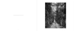 Alternative view 7 of Robert Adams: Los Angeles Spring