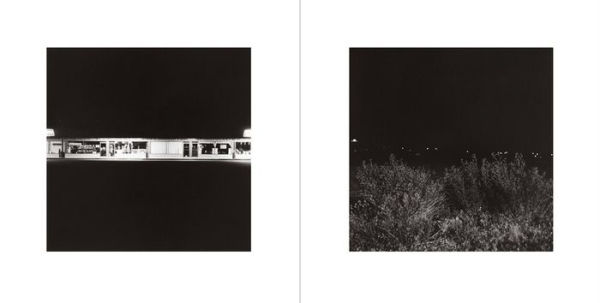 Robert Adams: Summer Nights