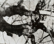 Alternative view 3 of Shigeru Onishi: Mathematical Structures