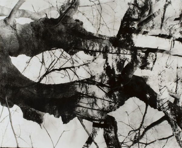 Shigeru Onishi: Mathematical Structures