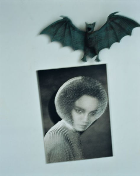 Nobuyoshi Araki & Juergen Teller: Leben und Tod