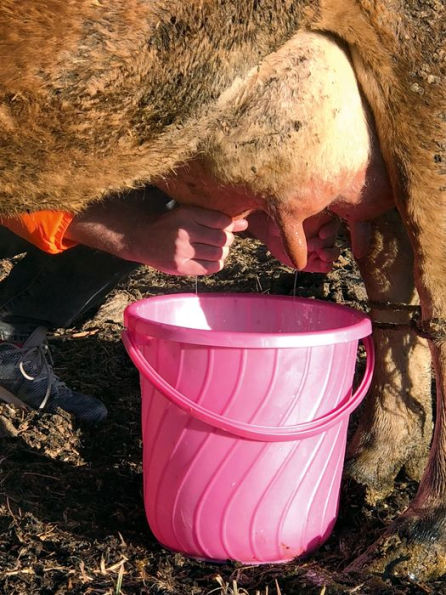 Nobuyoshi Araki & Juergen Teller: Leben und Tod