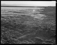 Alternative view 2 of Diana Michener: Trance