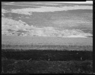 Alternative view 3 of Diana Michener: Trance