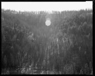 Alternative view 4 of Diana Michener: Trance