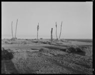 Alternative view 5 of Diana Michener: Trance