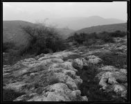 Alternative view 8 of Diana Michener: Trance