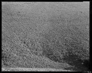 Alternative view 9 of Diana Michener: Trance