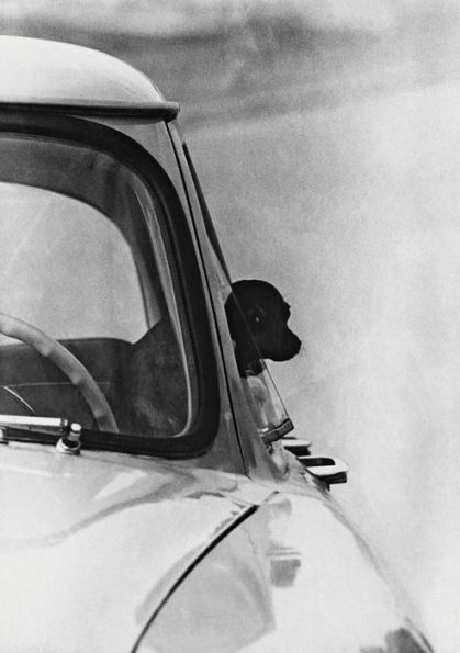 Antanas Sutkus: Street Life